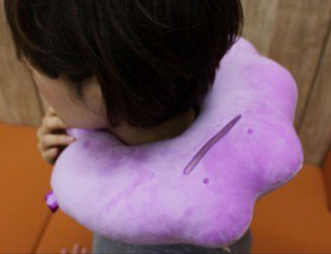 メタモンといっしょ