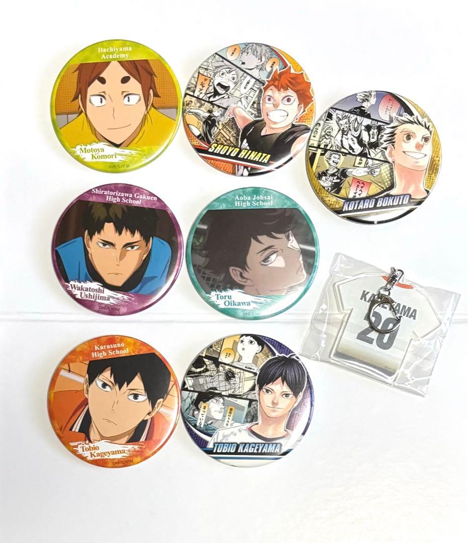 ハイキュー!!10th クロニクル グッズ付き同梱板 缶バッジ 付録 セット