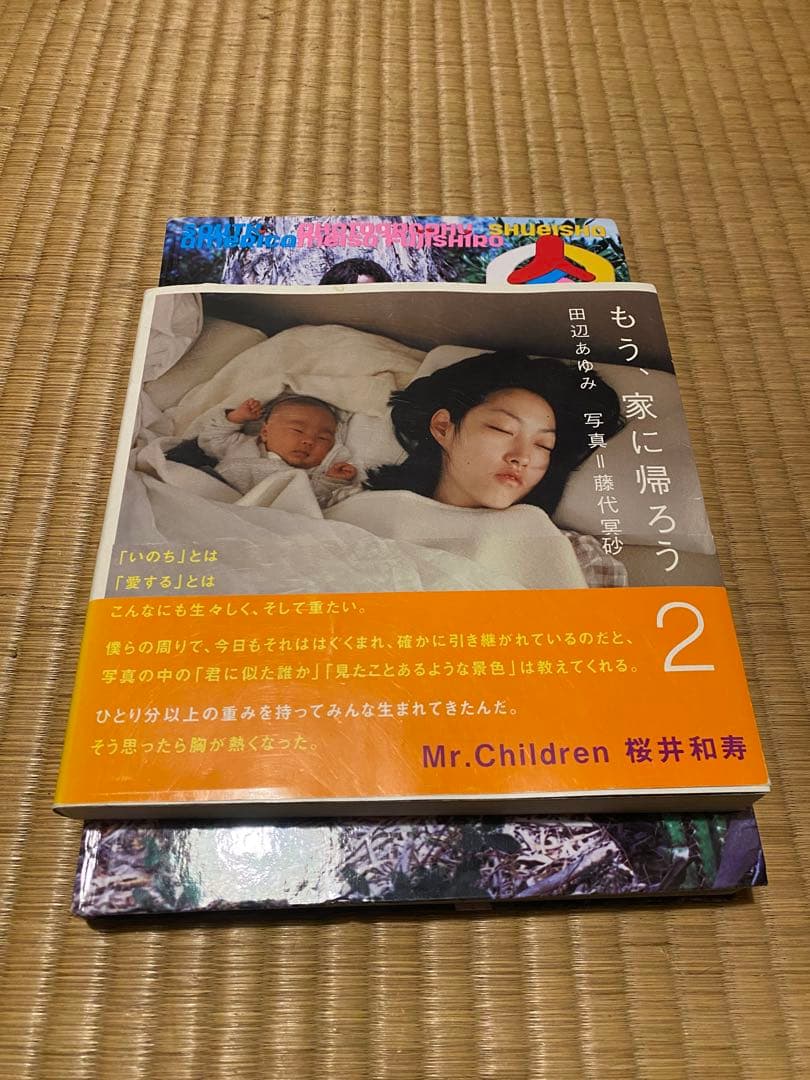 藤代冥砂　貴重本含む2冊セット