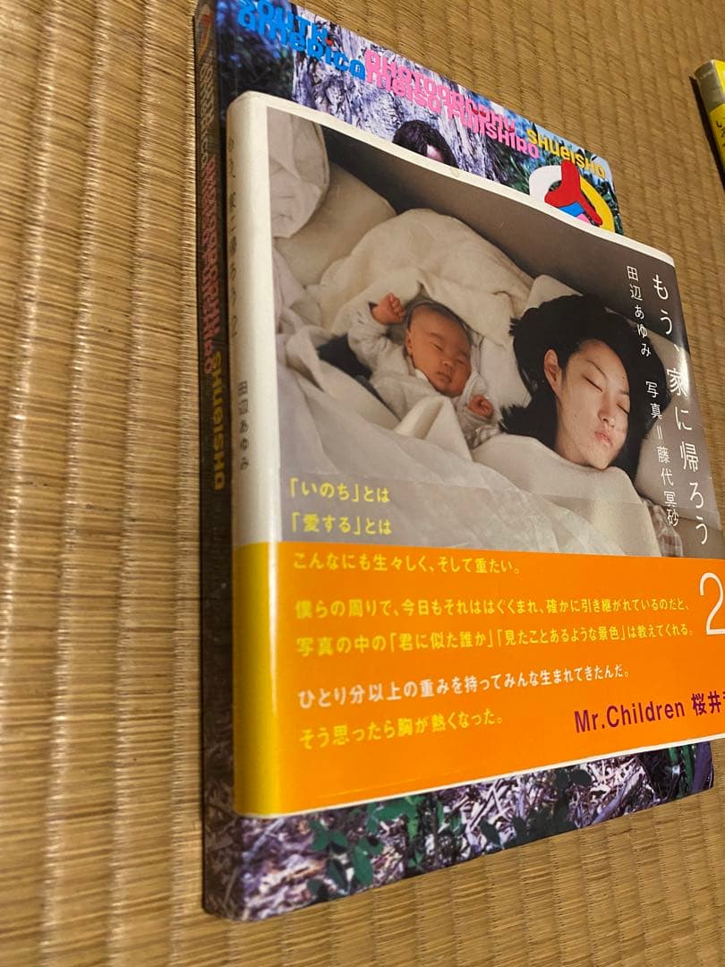 藤代冥砂　貴重本含む2冊セット