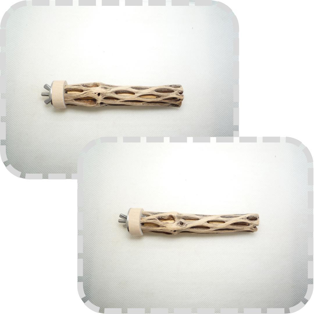 pau　止まり木　カクタス　スケルトン　パーチ　おまとめ２点