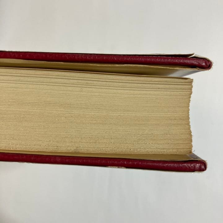 ヴィルヘルム・ブッシュ 全作品集