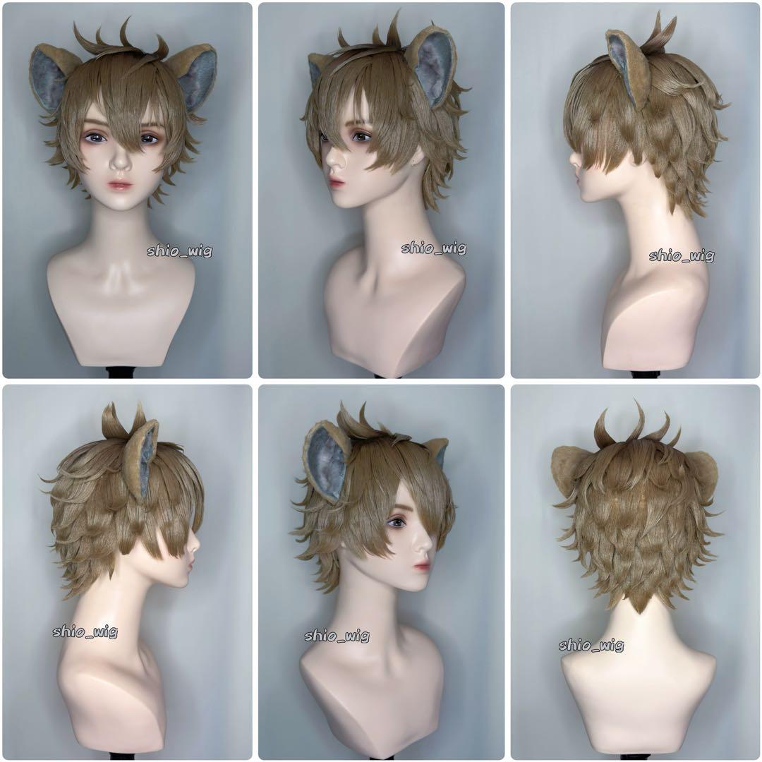 【即購入⭕️】 ツイステ ラギー・ブッチ コスプレ Dハロ セット済ウィッグ