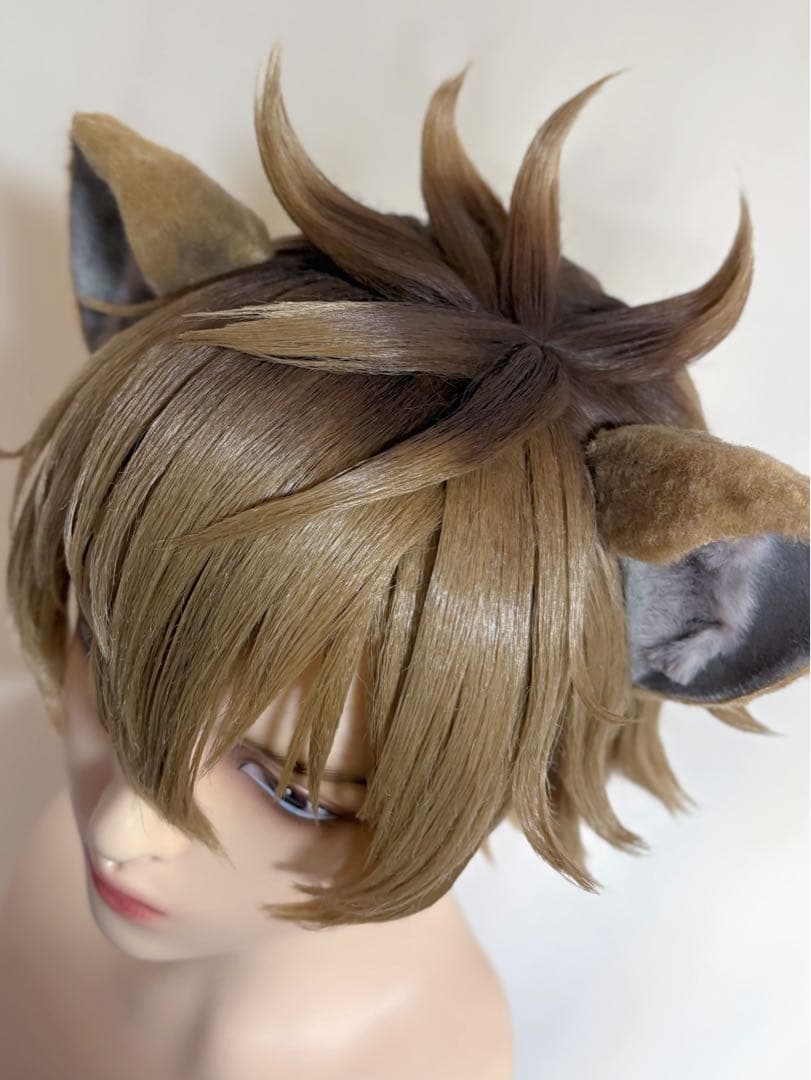 【即購入⭕️】 ツイステ ラギー・ブッチ コスプレ Dハロ セット済ウィッグ