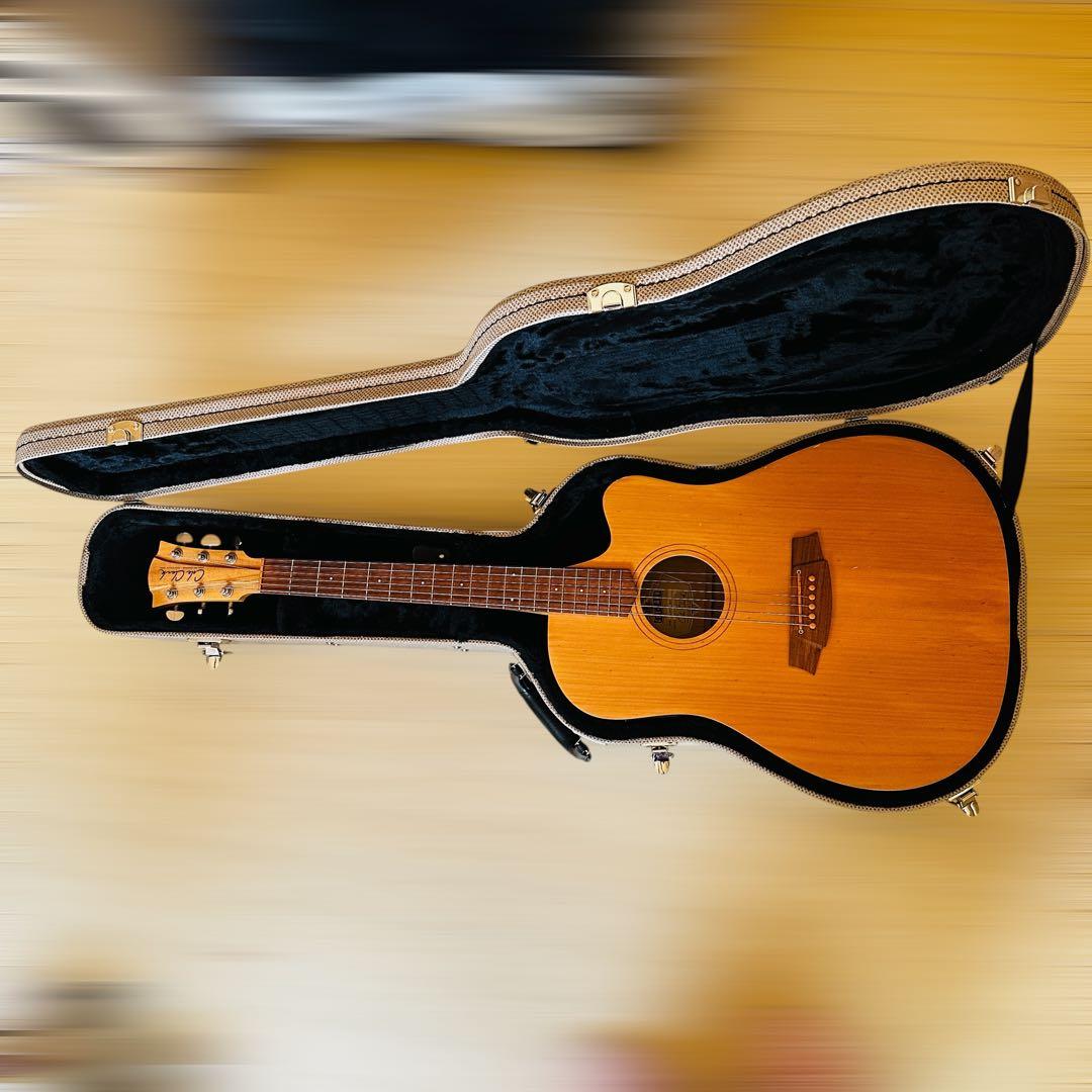 Cole Clarkアコースティックギター ハードケース付き