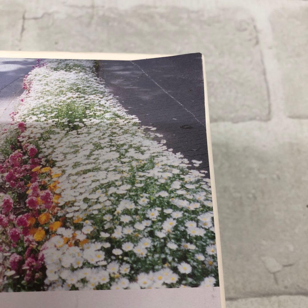 D4979 いちばんすきな花-ディレクターズカット版- DVD-BOX〈7枚組〉