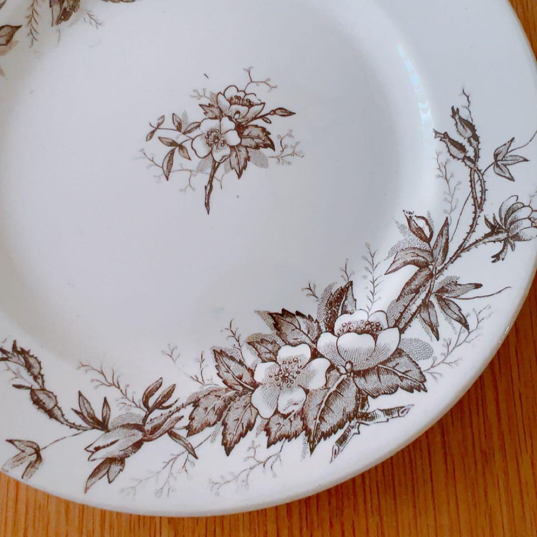 Choisy le roi ショワジールロワ EGLANTINES