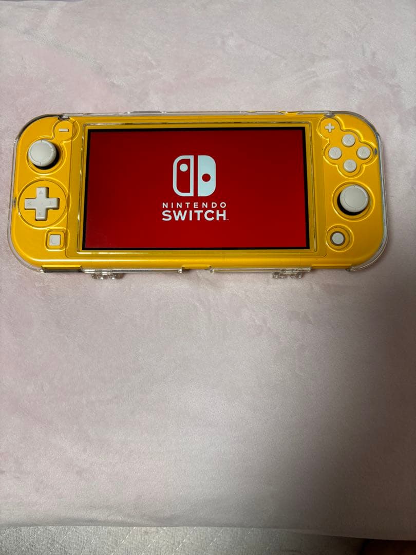 Nintendo Switch Lite 保護ケース＆充電器付き