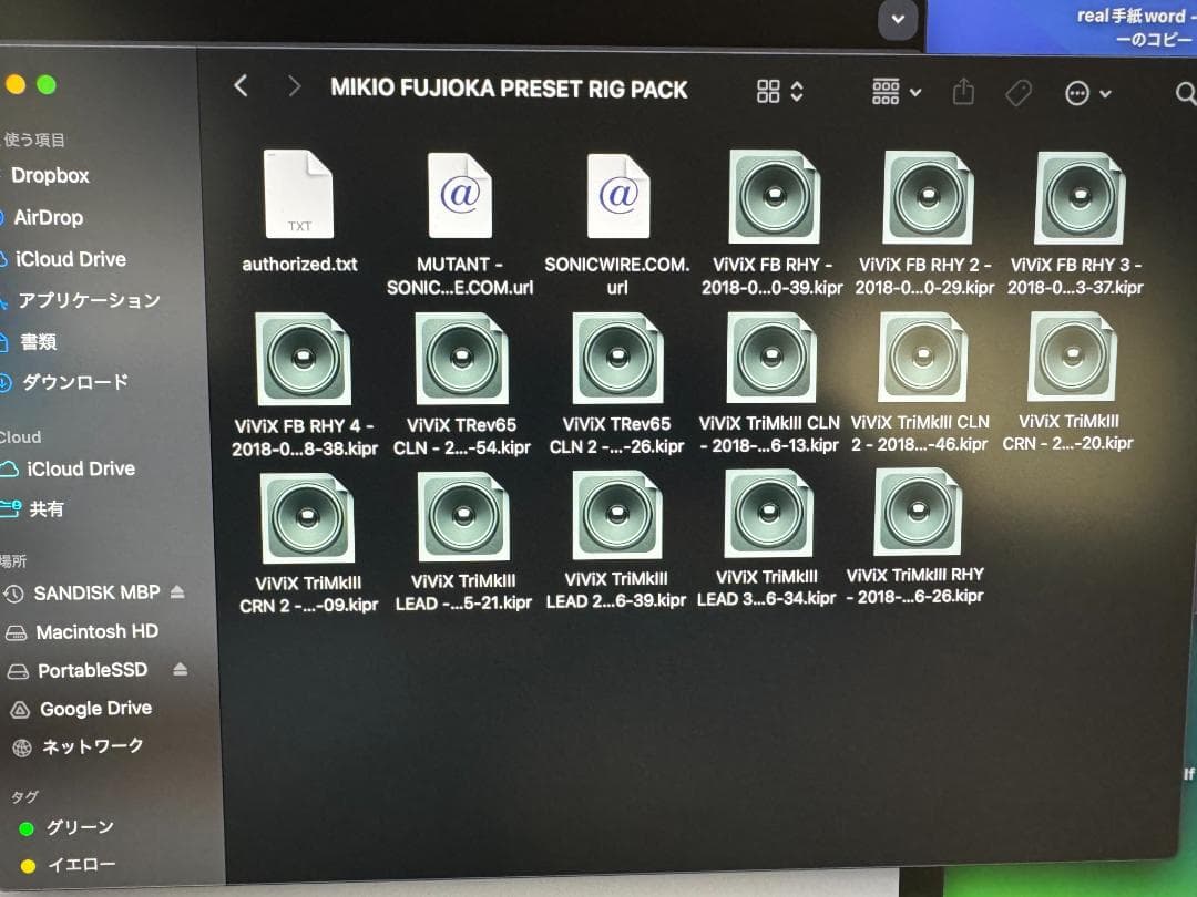バンオンKemper PROFILER STAGE 有料Rig多数 バッグ