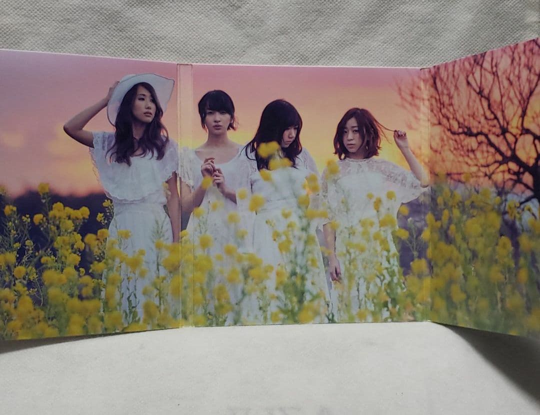 Canvas　赤い公園のライブ　feat.おまえら盤　CD　DVD　初回　限定