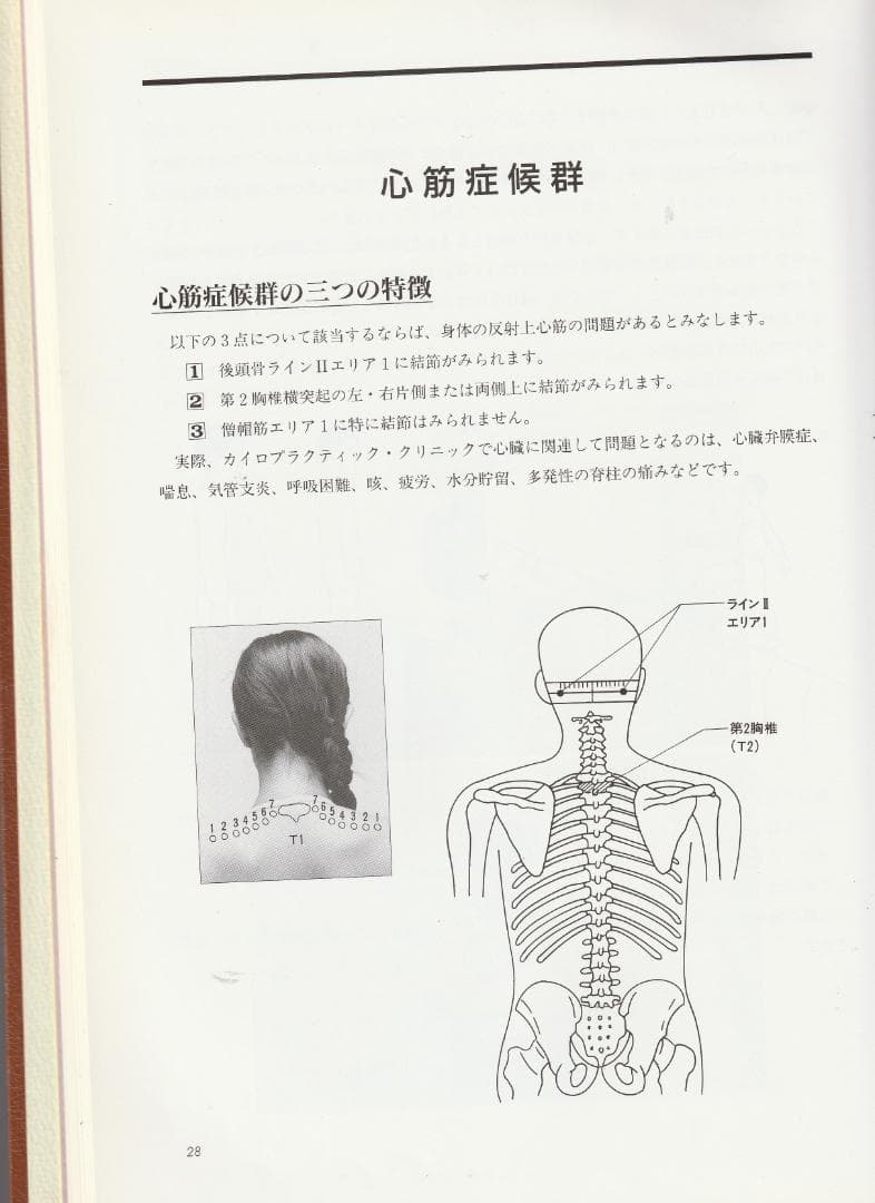SOT　臨床家のための内臓反射テクニック（CMRT)　中島文保著