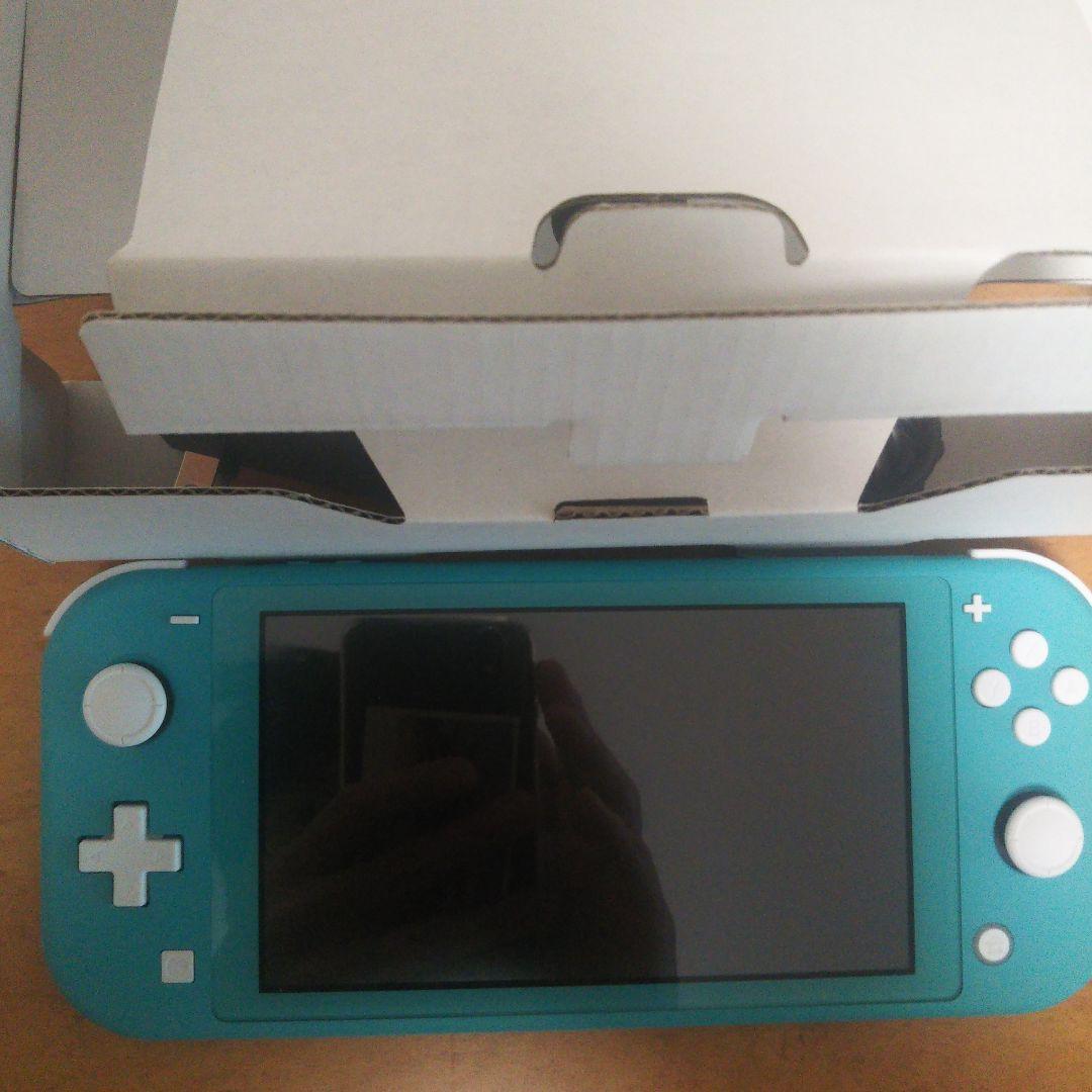 Switchライト ターコイズ ソフト付き (アソビ大全)