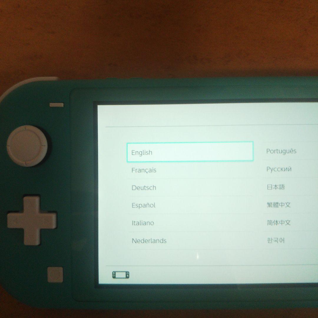 Switchライト ターコイズ ソフト付き (アソビ大全)