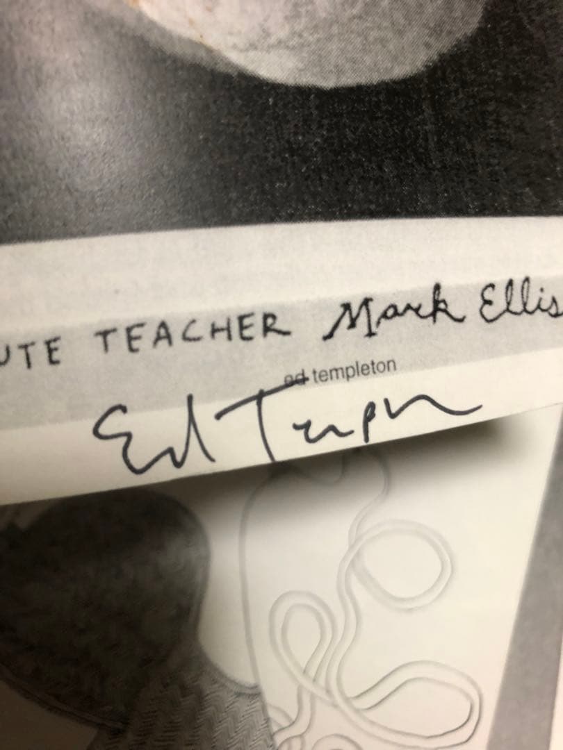 レア Deanna Templeton Ed Templeton ZINE