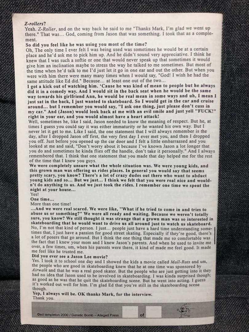 レア Deanna Templeton Ed Templeton ZINE