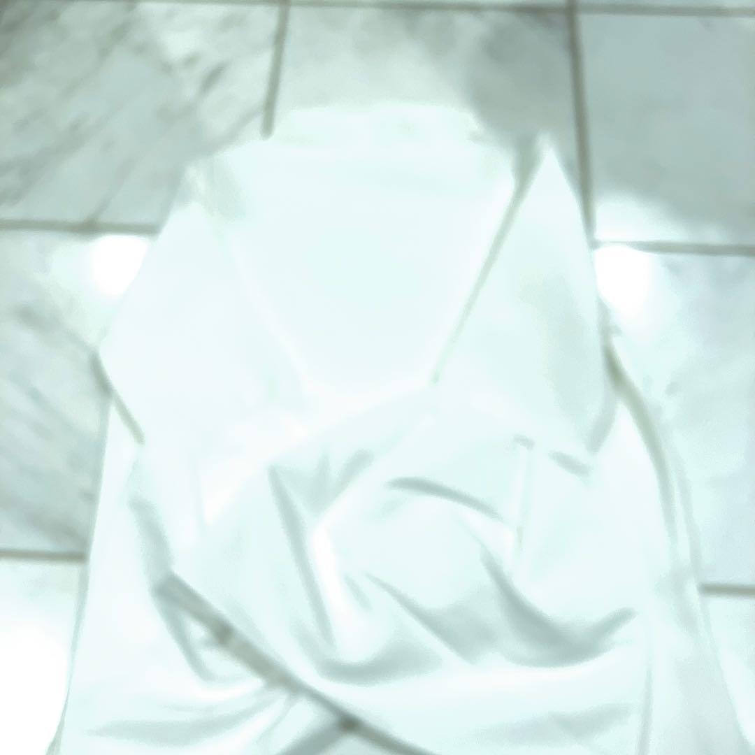 maison de dolce メゾンドドルチェ　袖サテンフレア　白トップス