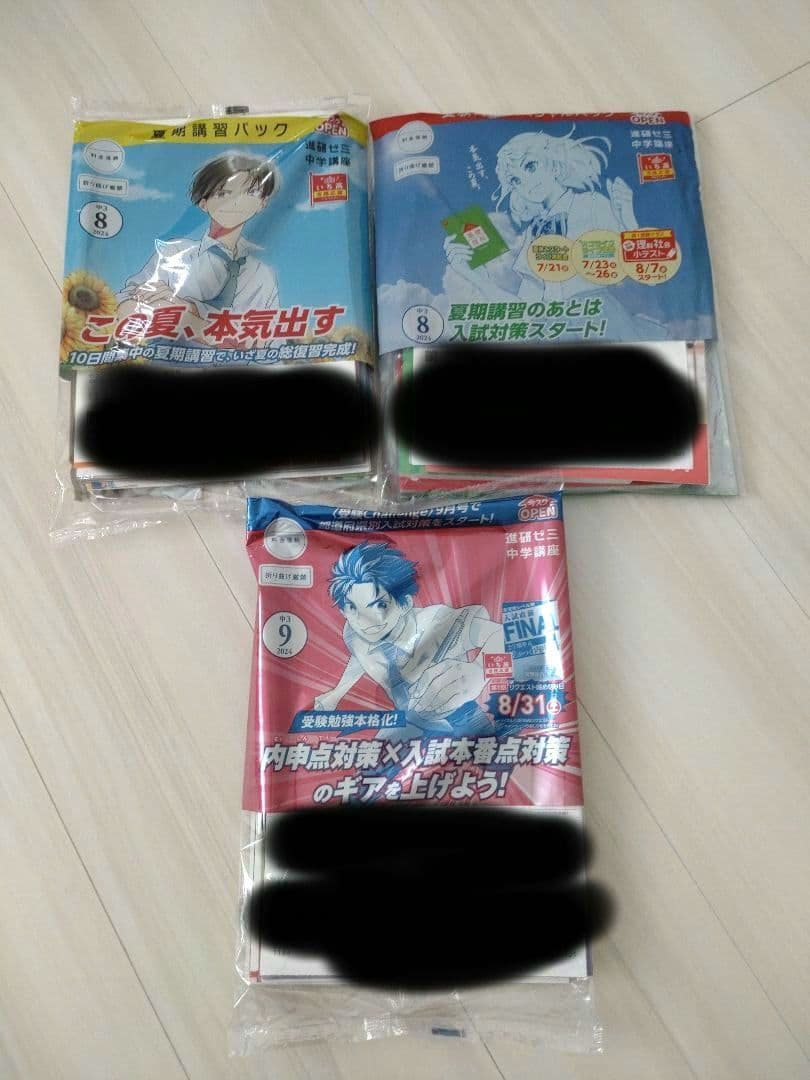 【未使用未開封】進研ゼミ 中学講座 受験対策 定期テスト対策 参考書 家庭学習