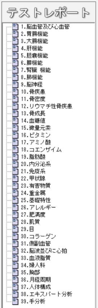 PC付　量子アナライザー　波動測定器　波動　量子共鳴　磁気共鳴　健康管理