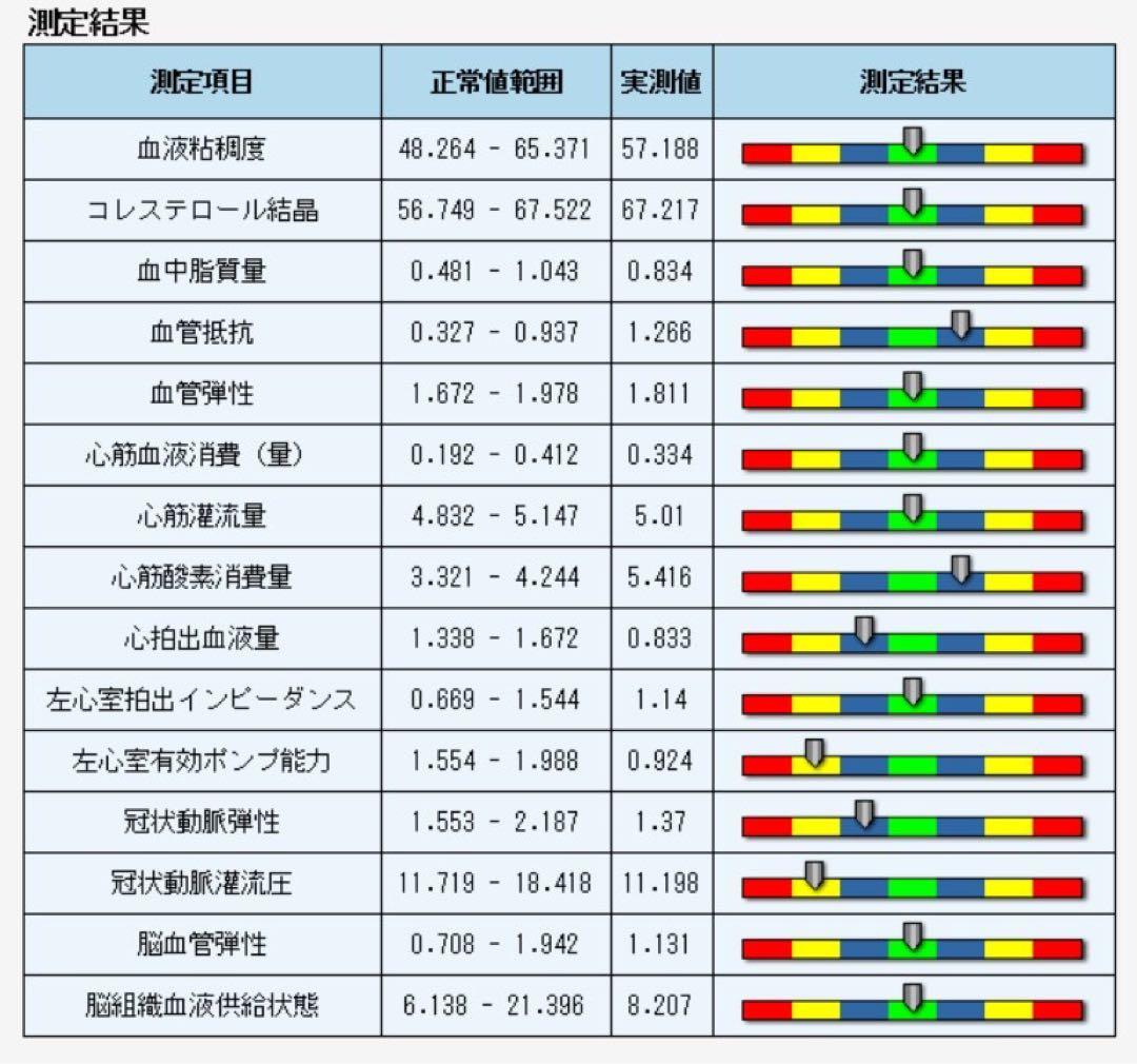 PC付　量子アナライザー　波動測定器　波動　量子共鳴　磁気共鳴　健康管理