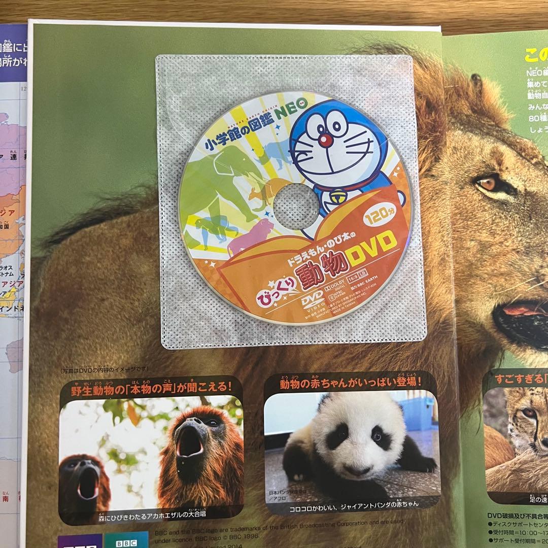 小学館の図鑑NEO 13冊セット動物・恐竜・植物・鳥・花 DVD付き プレNEO