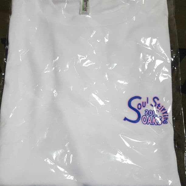 非売品ソウルスターリング　オークス勝利記念品