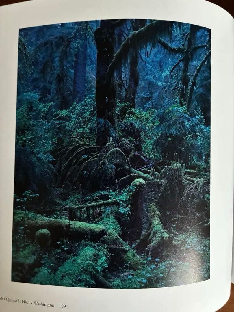 アート・デザイン・音楽 Yoshihiko Ueda From the Hip