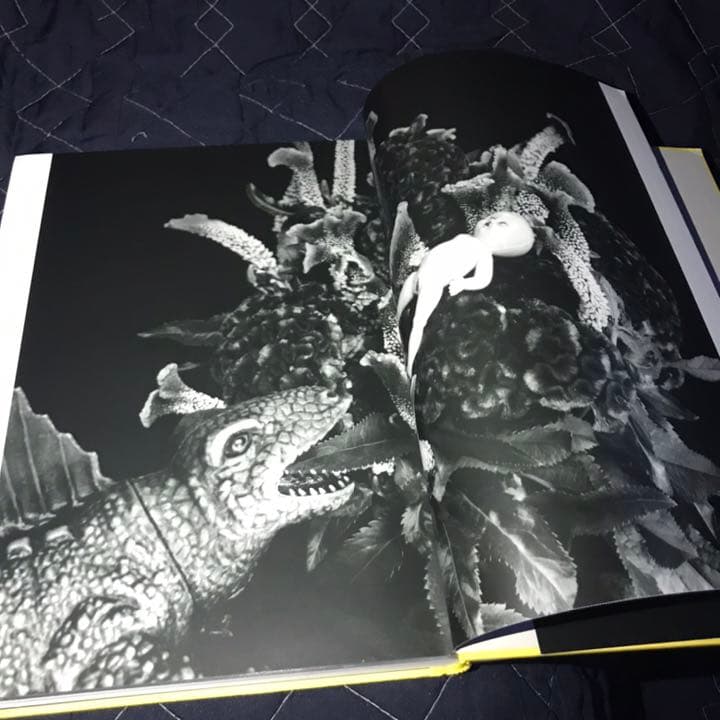 センチメンタルジャーニー　荒木経惟5冊　50000円