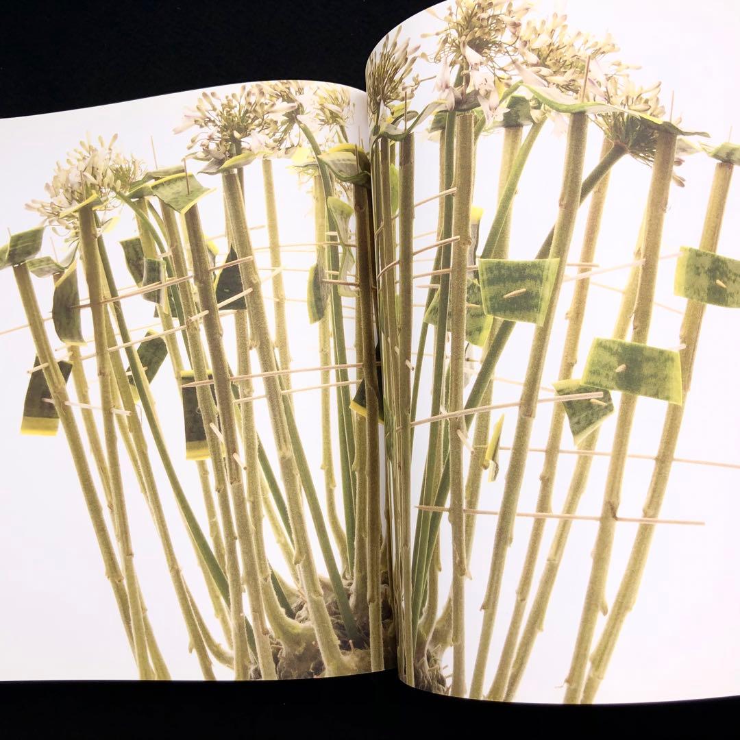 ピム・ファン・デン・アッカー 技法書「Floral Design Manual」