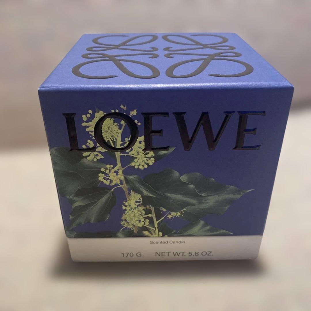 新品　ロエベ　アイビーの香り　アロマキャンドル 170g ピンク