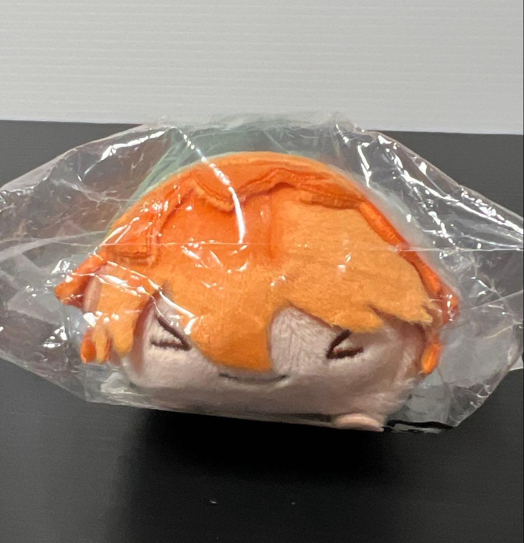 ハイキュー　のるキャラ　マスコット　日向翔陽　雪ヶ丘　中学生　Ver