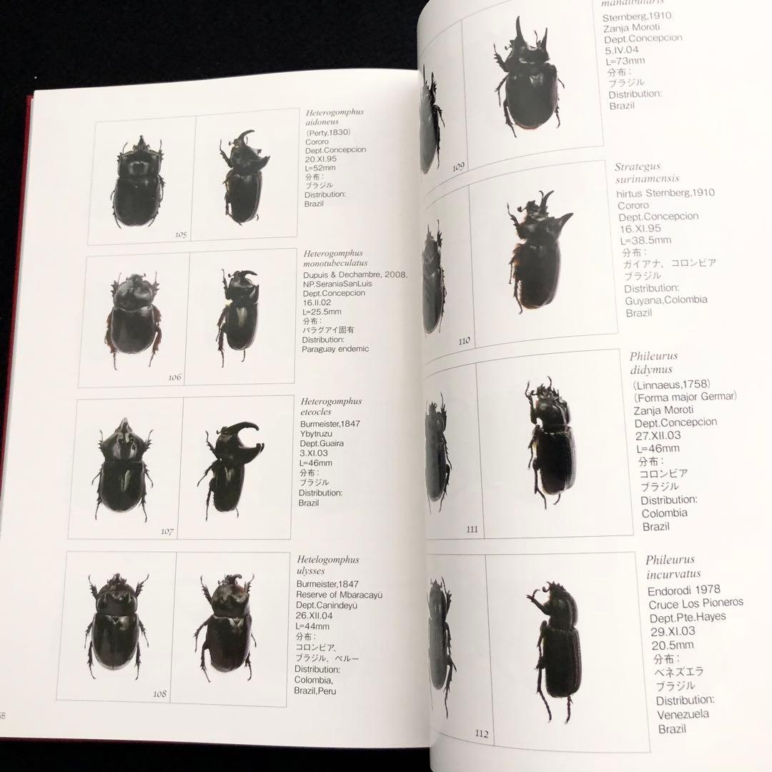 野生ラン 写真集「艶蘭亭 ADELANTE - パラグアイの野生蘭と甲虫」小山貢