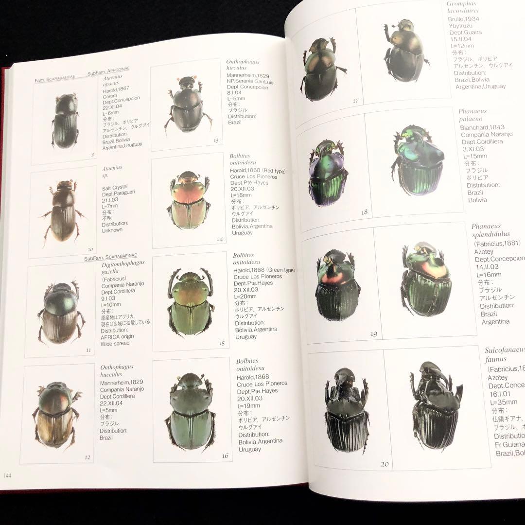 野生ラン 写真集「艶蘭亭 ADELANTE - パラグアイの野生蘭と甲虫」小山貢