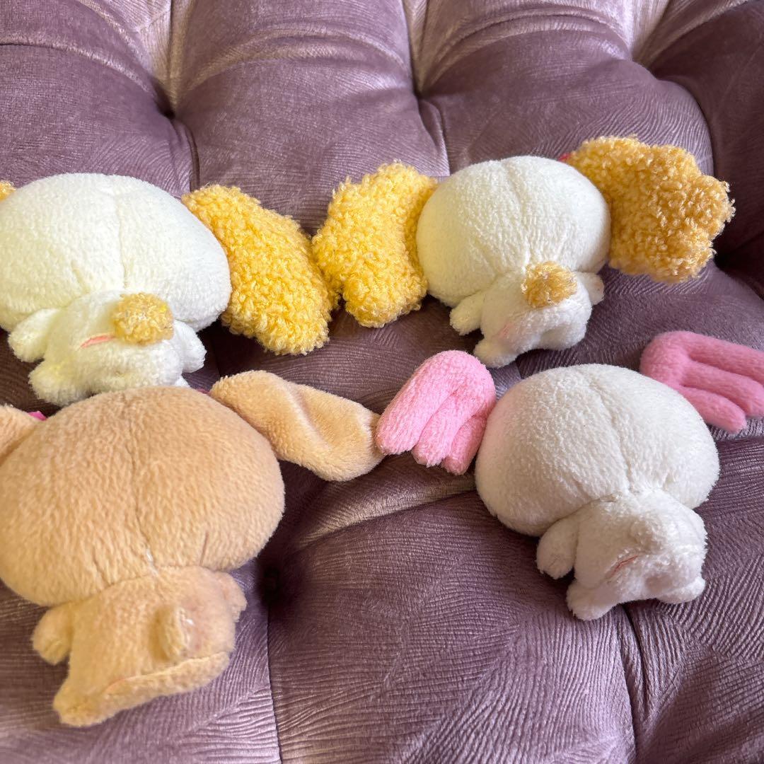 お値下げ不可 シナモンエンジェルス アズキ モカ シフォン 4点セット