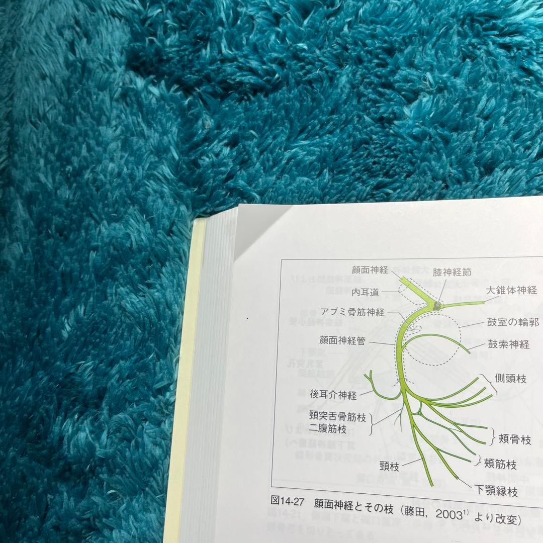 口腔解剖学　第2版　医歯薬出版　歯学部