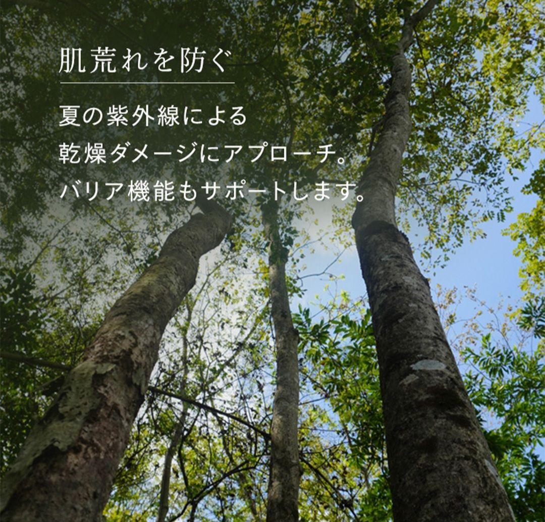 N organic Basic ローションミルクセット