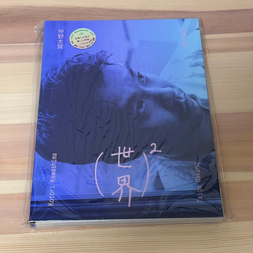川島小鳥 仲野太賀 写真集 「(世界)2」