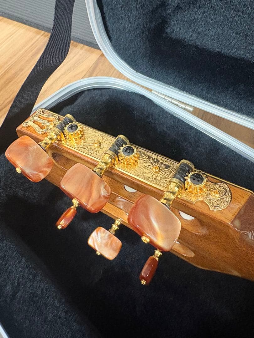 Takamine エレガットギター カッタウェイ希少ケース付き