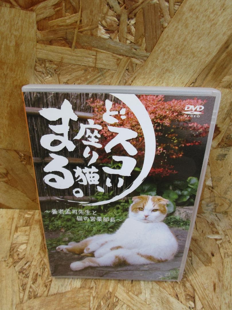 （激レア）どスコい座り猫、まる。～養老孟司先生と猫の営業部長 [DVD]