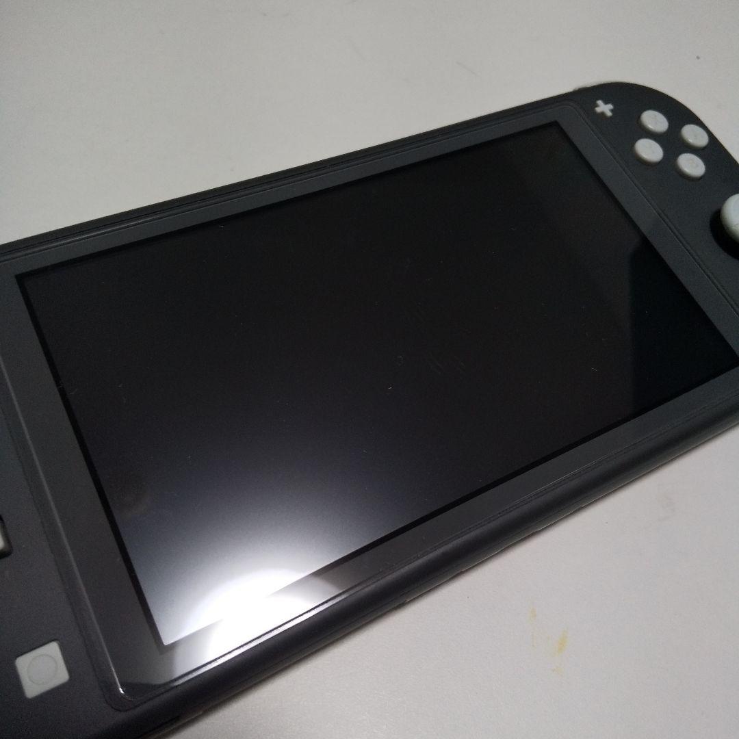 Nintendo Switch Lite グレー本体 充電器付き