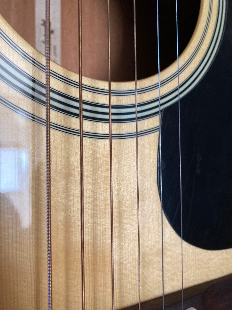 Aria Dreadnought アコースティックギター　AF-280N