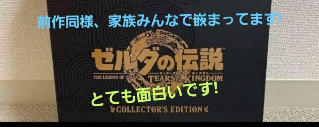 ゼルダの伝説 ティアーズオブザキングダムコレクターズエディション