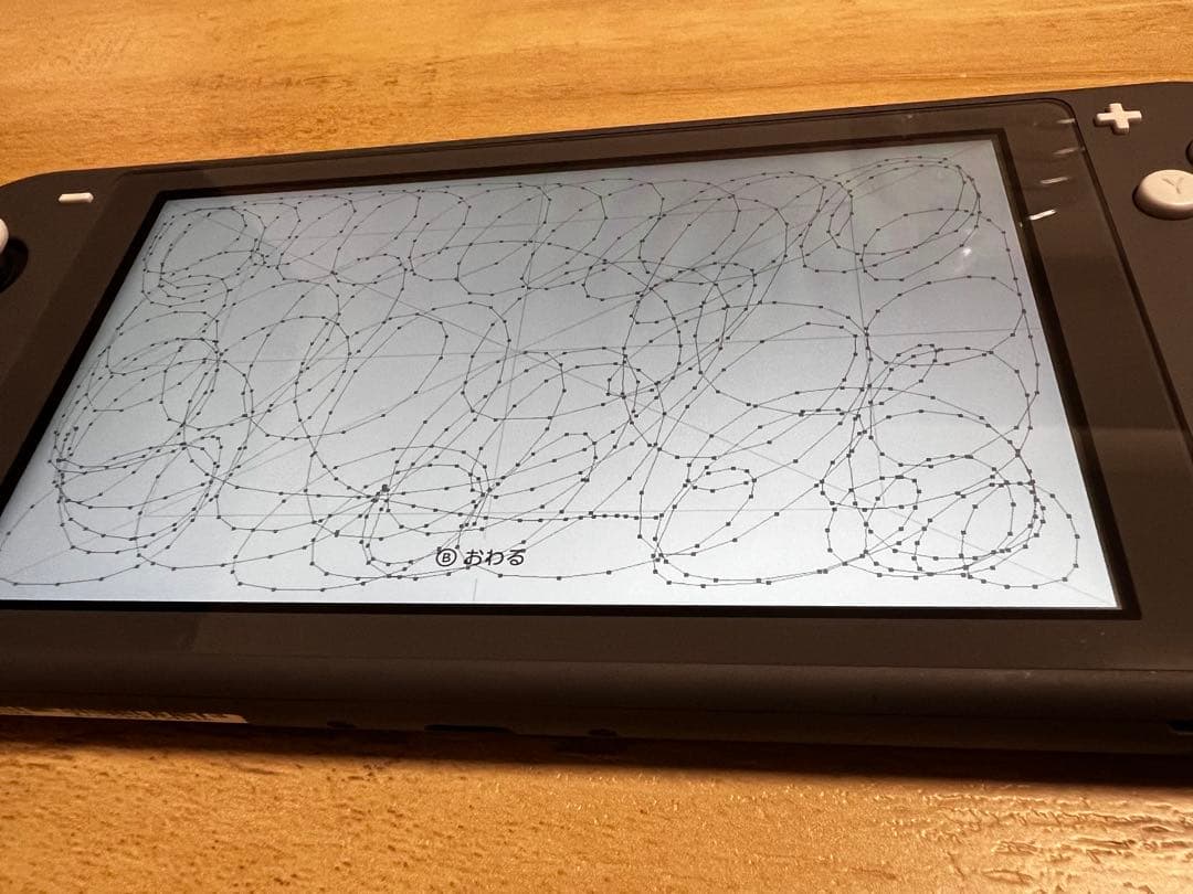 Nintendo Switch Lite グレー 本体 + スプラトゥーン3 他