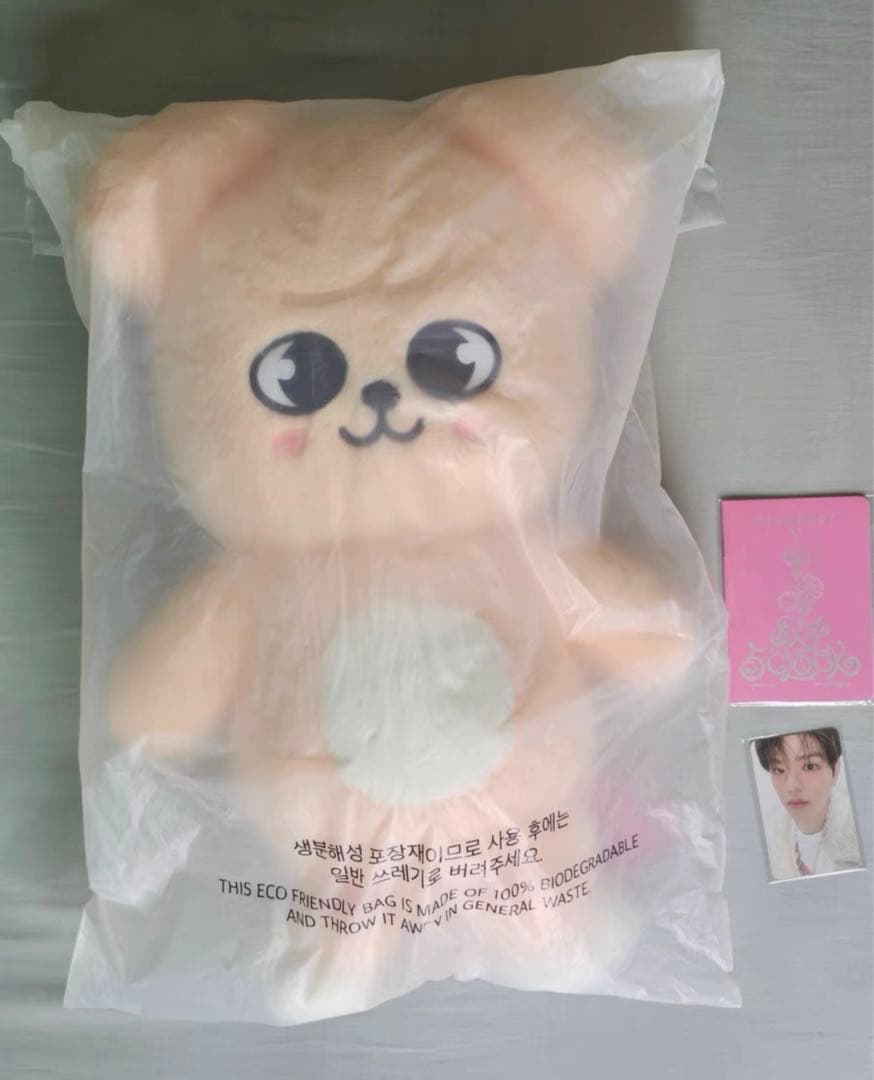 パピーム　スンミン　スキズ　テディ　新品未開封