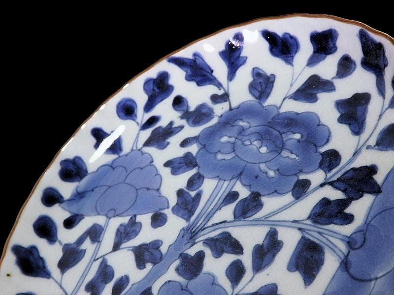 古伊万里　染付　牡丹に牡丹唐草の図　６寸皿　江戸期　F173AS-fbqu