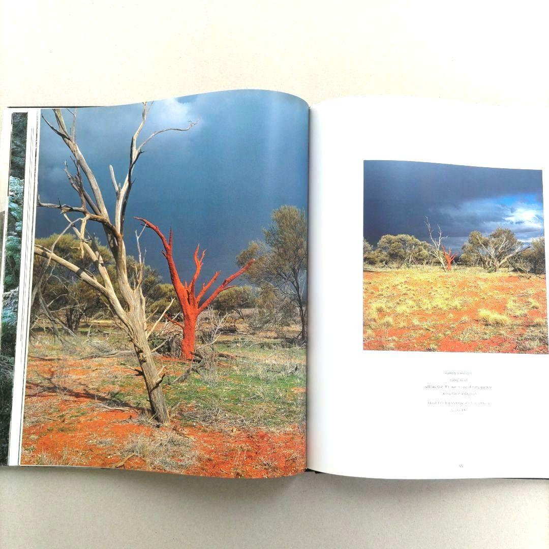 STONE Andy Goldsworthy/アンディ・ゴールズワージー 作品集