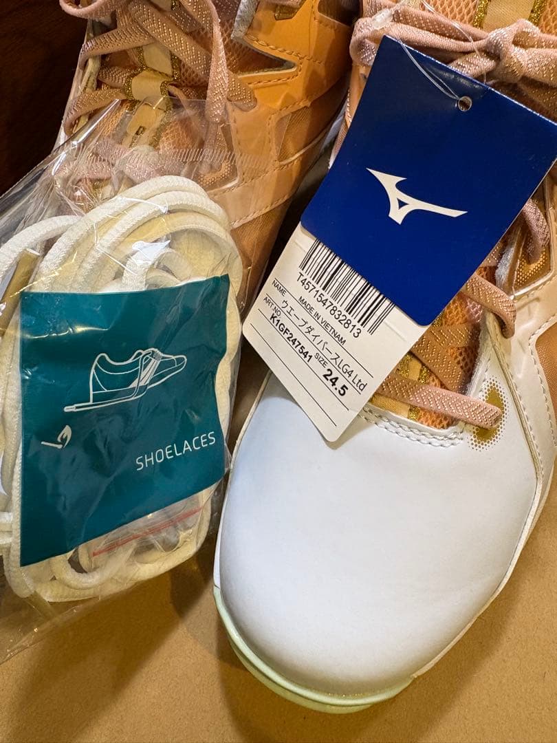 ミズノ フィットネスシューズ 24.5cm 新品エアロ zumba