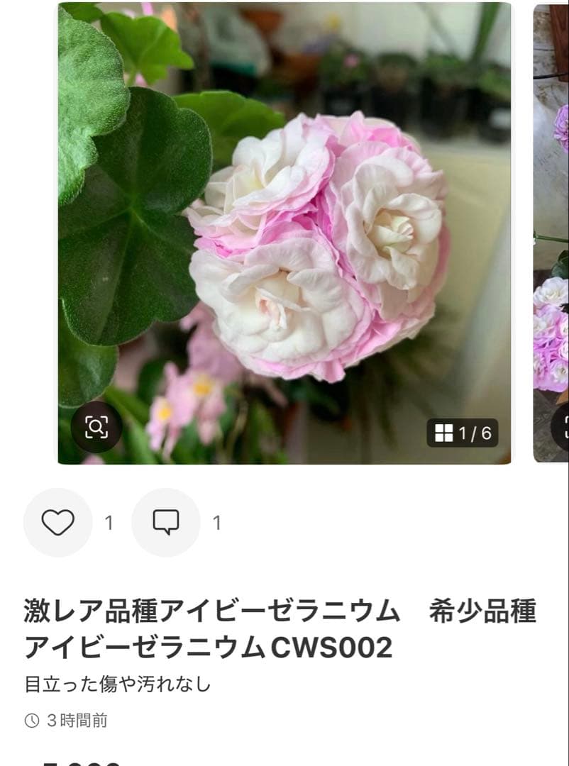 リンク再作成　専用リンク　4種類