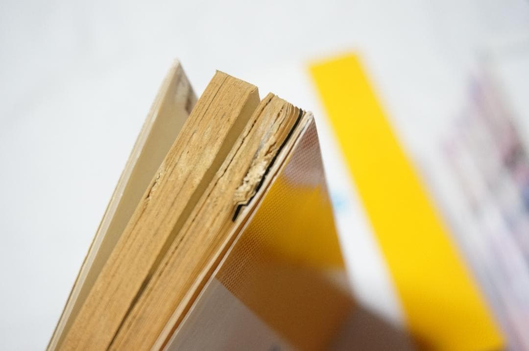 スラムダンク SLAM DUNK 井上雄彦 全31巻完結 まとめ売り