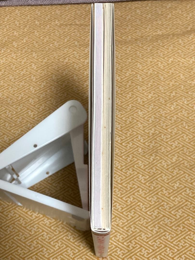 プリンセスチュチュ　アニメ公式ガイドブック　 雛の章