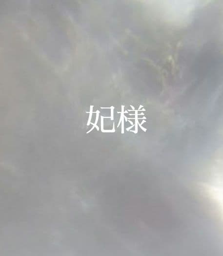 26.妃様　オーダー